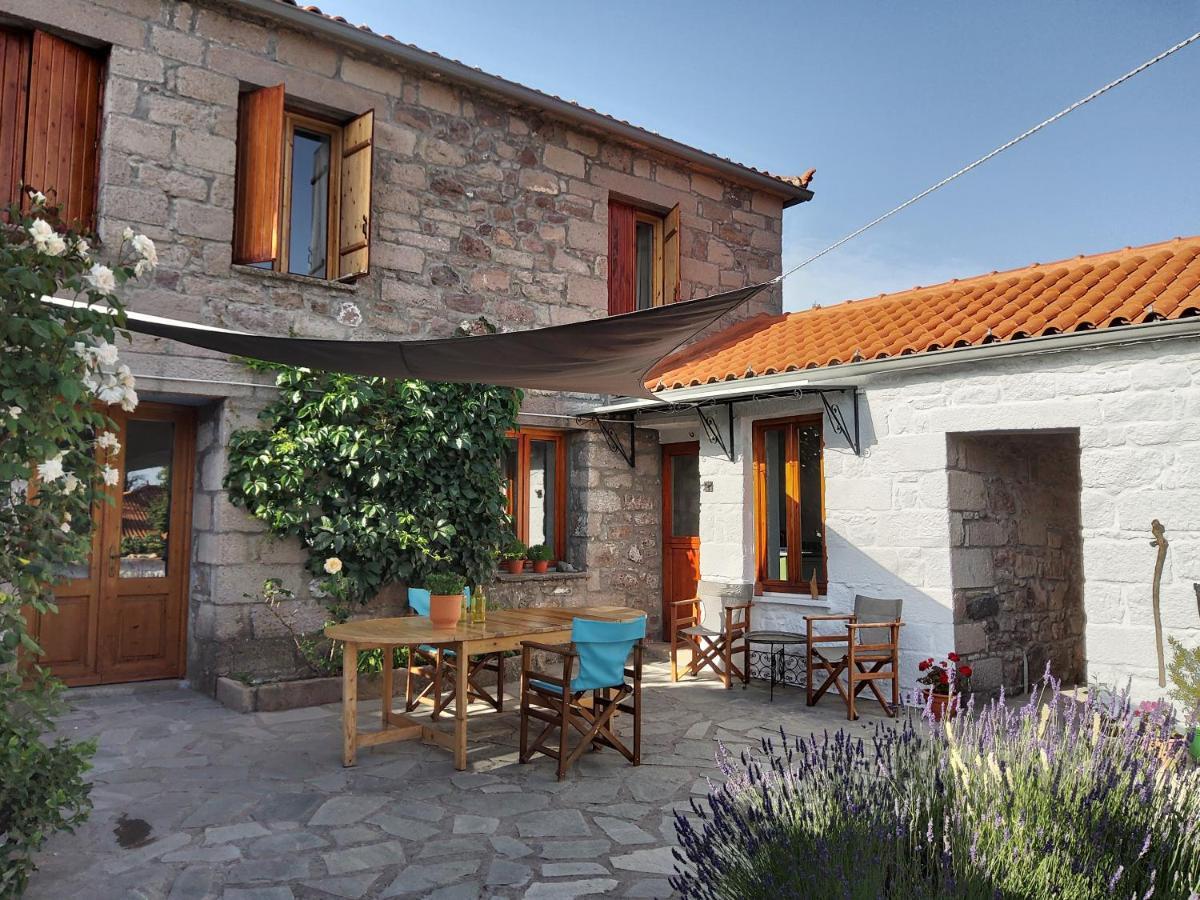House On Lesbos, Greece Case de vacanță *