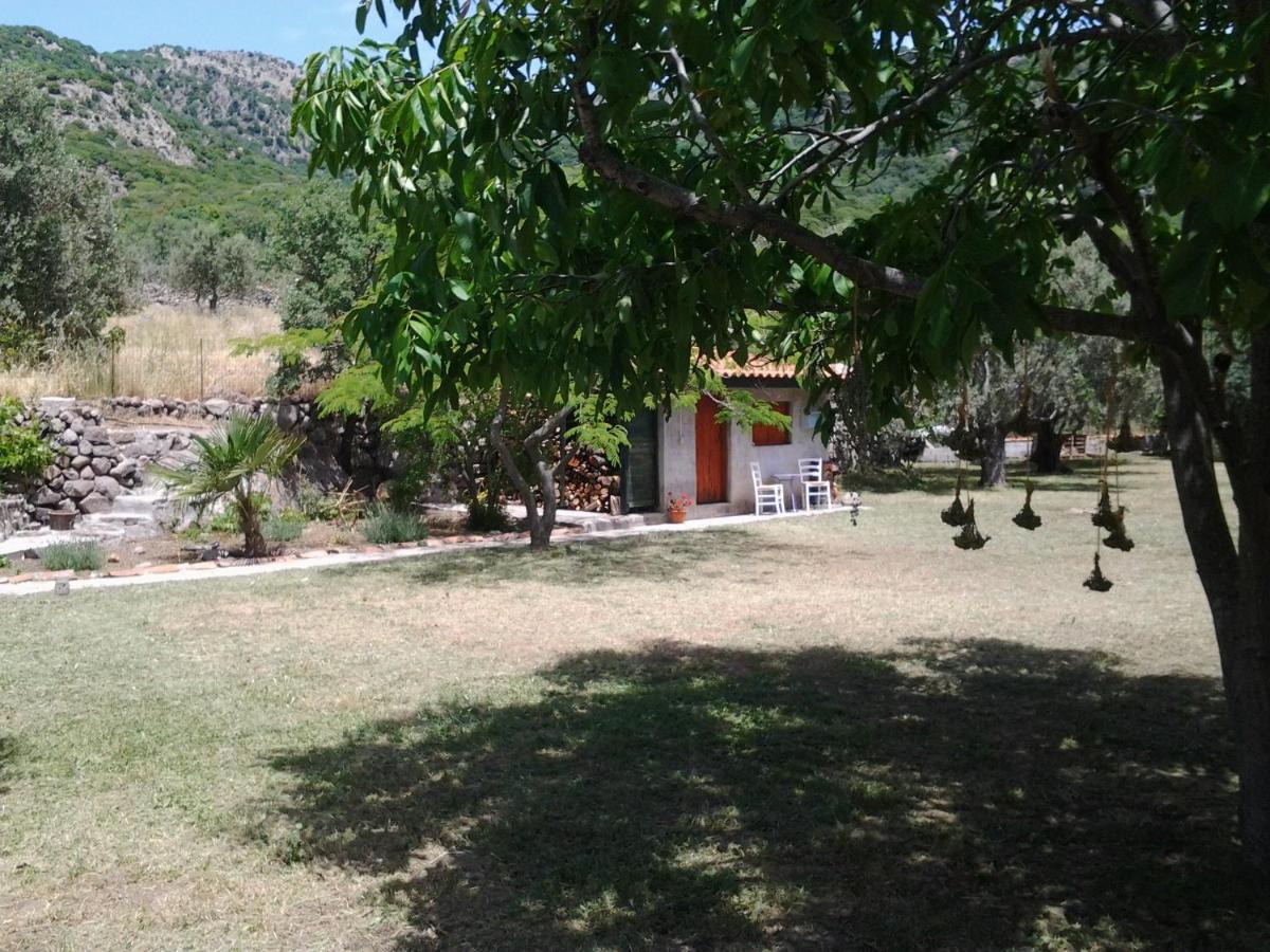 House On Lesbos, Greece Case de vacanță